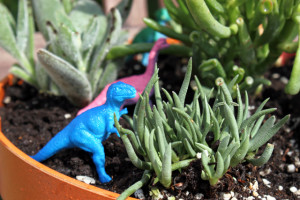 A succulent planter with dinosaur figures in the planter 