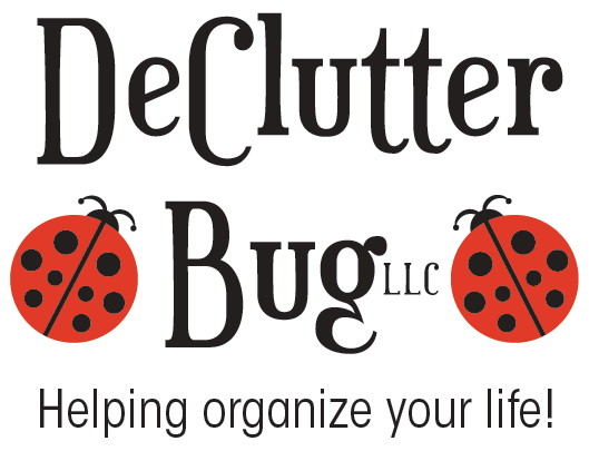 DeClutter Bug Logo. The name with two ladybugs. Tagline Reads: Helping Organize Your Life!