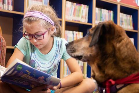 Girl reading a book to a dog