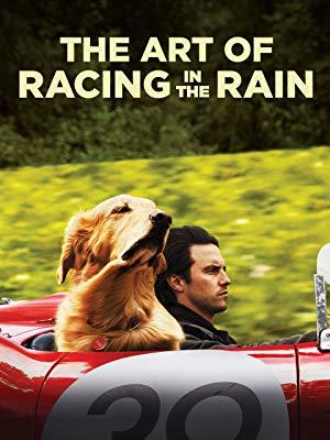 cover image for "The Art of Racing in the Rain"