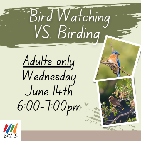 Bird Watching vs. Birding