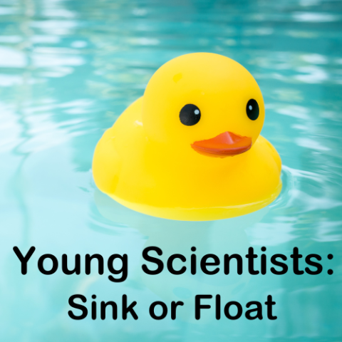 Teal water background with yellow rubber duck floating and the the words on the bottom stating " Young Scientists: Sink or Float"