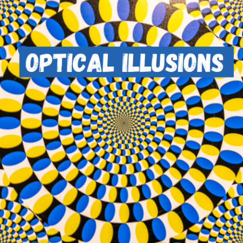 Optical illusion patterns with text "optical illusions"