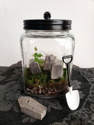 image of glass jar with Cemetarium inside