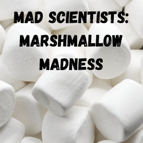 Marshmallow background with title "Mad Scientists: Marshmallow Madness"