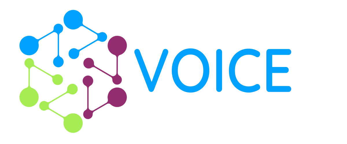 Voice Logo