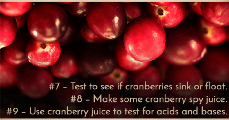 Mad Scientists: Crazy Cranberries