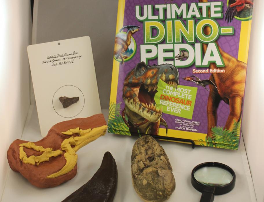 protocol dinosaur fossil kit